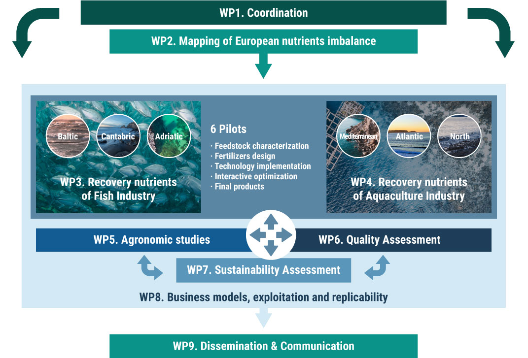 Infographic