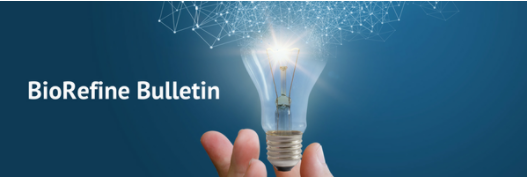 Bulletin Newsletter - cover picture